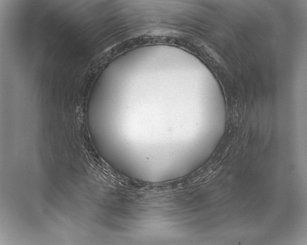 X0000072490821200608111559