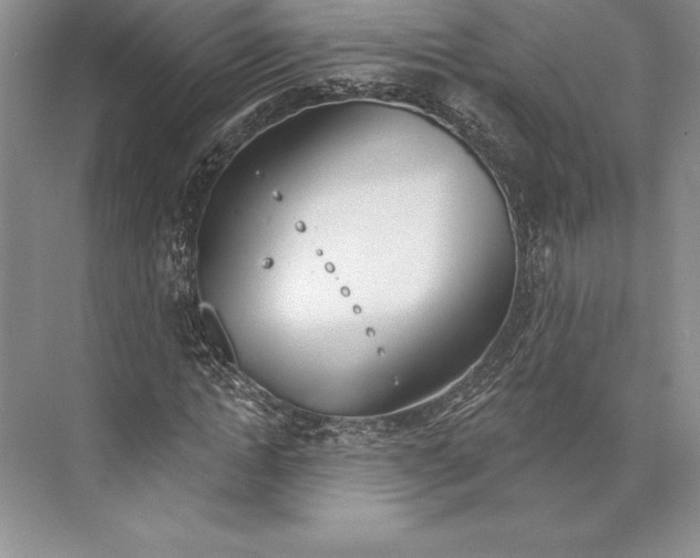 X0000072490822200608111559