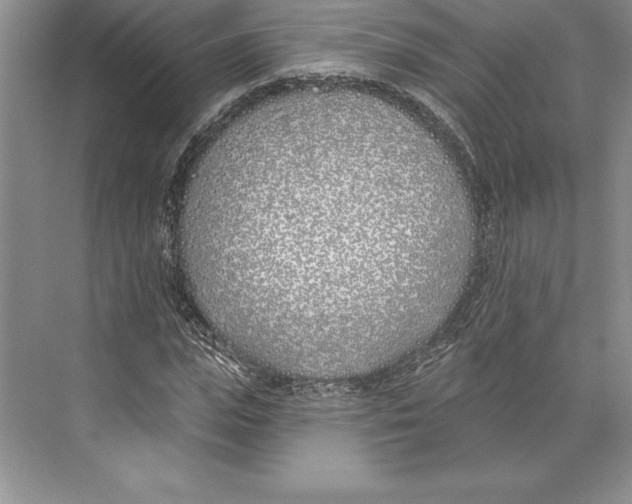 X0000072490823200608111559