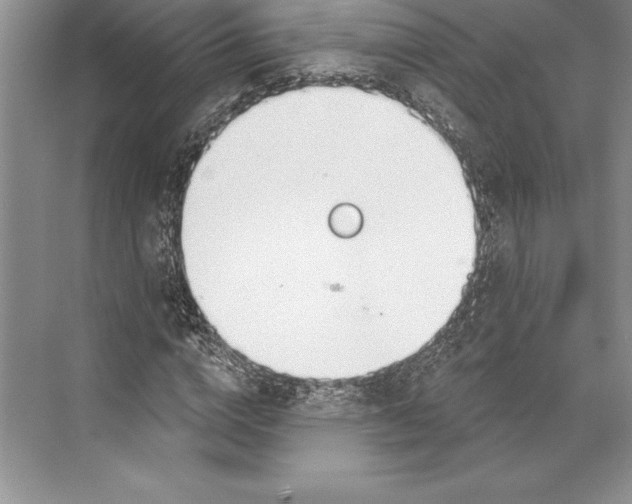 X0000072490824200608111559