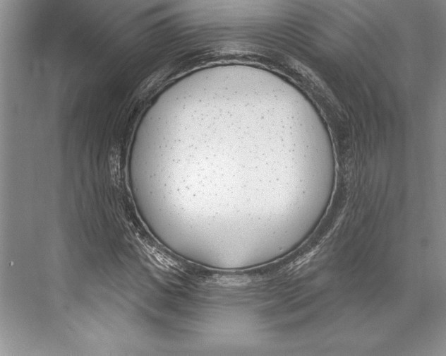 X0000072490825200608111600