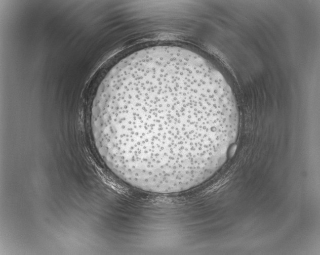 X0000072490827200608111600