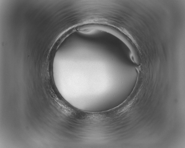 X0000072490830200608111600