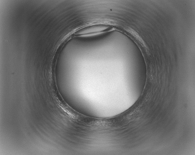 X0000072490834200608111600