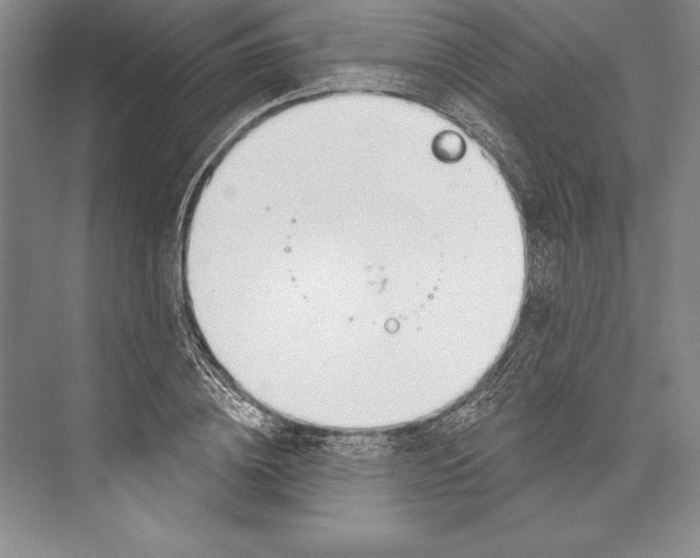 X0000072490836200608111600