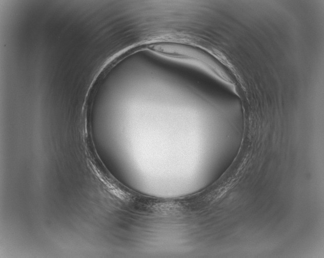 X0000072490838200608111600