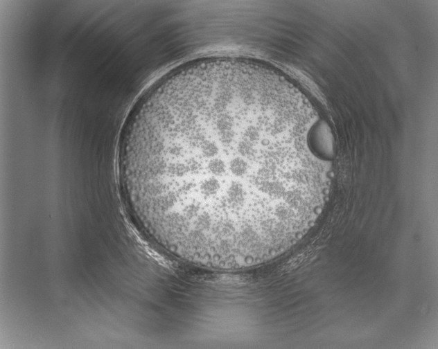 X0000072490839200608111600