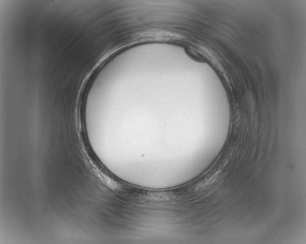 X0000072490843200608111600