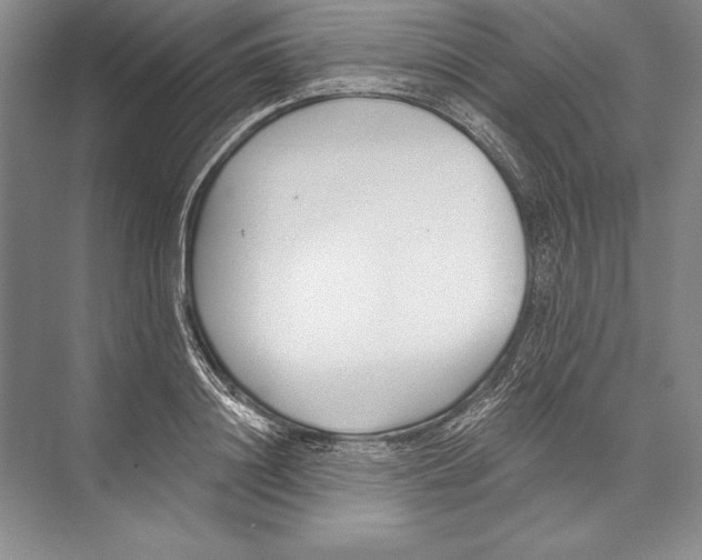 X0000072490844200608111600