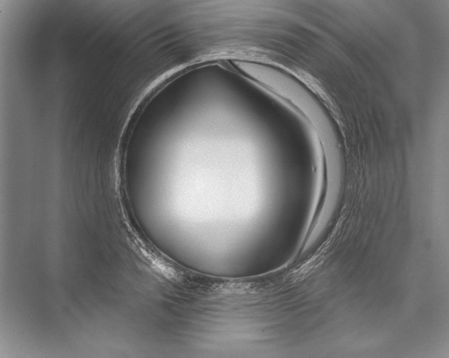 X0000072490846200608111600