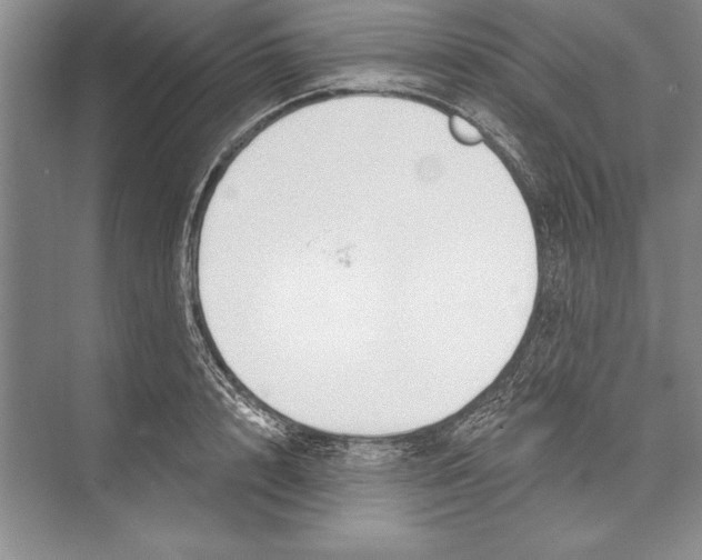 X0000072490848200608111600