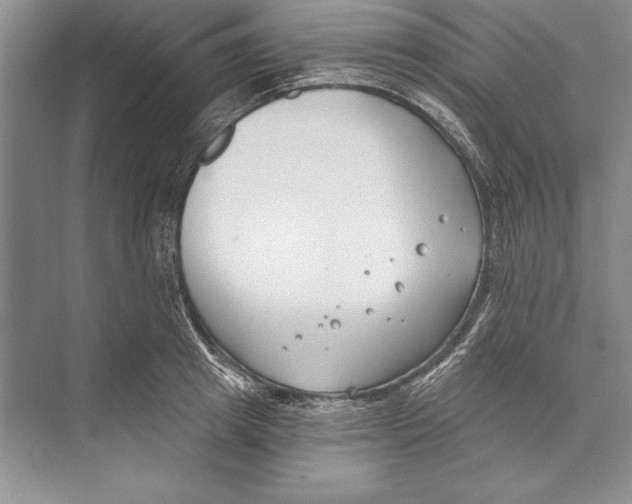 X0000072490849200608111600