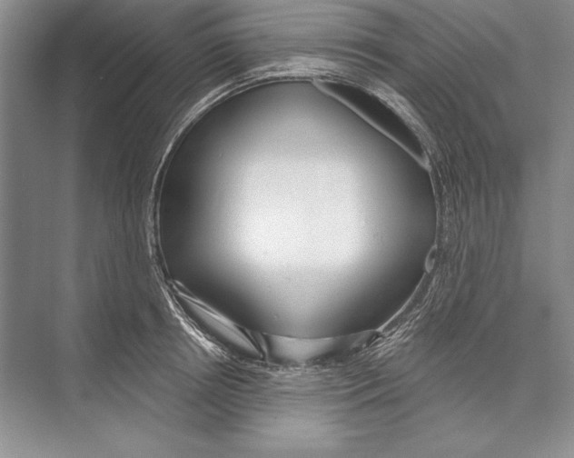 X0000072490850200608111600