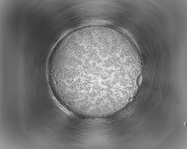 X0000072490851200608111600