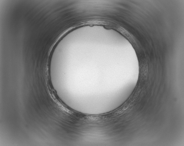 X0000072490852200608111600