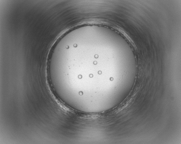 X0000072490853200608111600