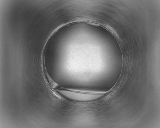 X0000072490854200608111600