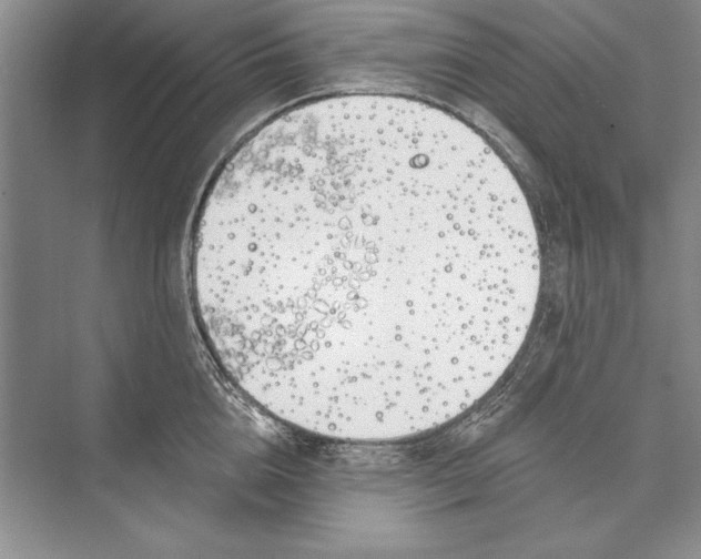 X0000072490856200608111600