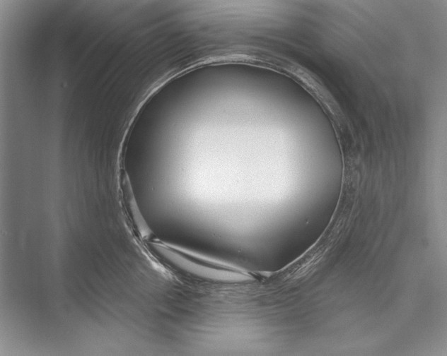 X0000072490858200608111600