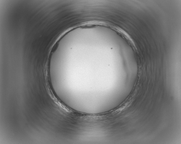 X0000072490860200608111600