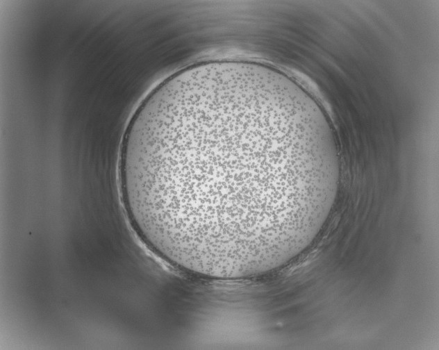 X0000072490863200608111600