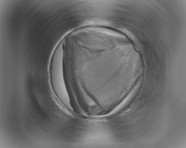 X0000072490864200608111600