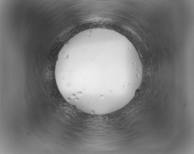 X0000072490869200608111559