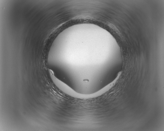 X0000072490872200608111559