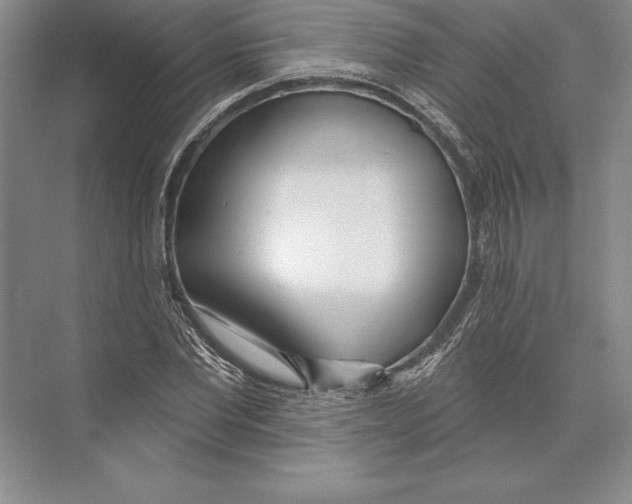 X0000072490877200608111559