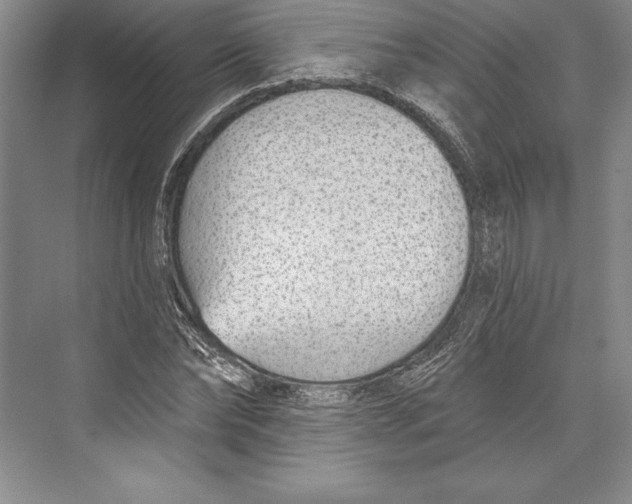 X0000072490878200608111559