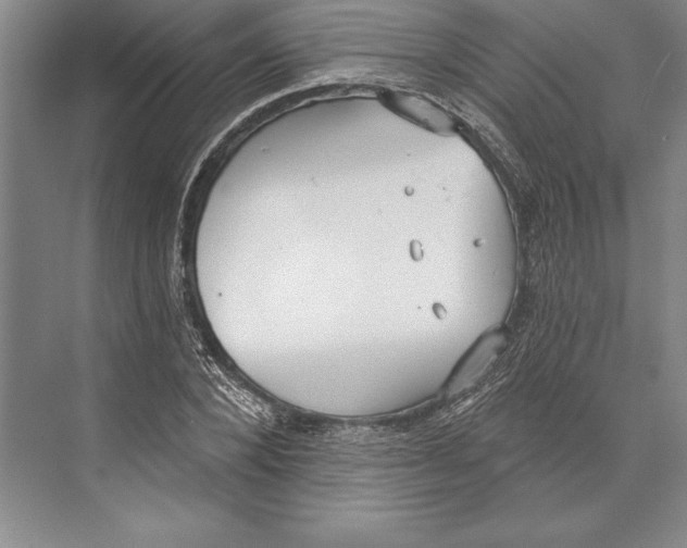 X0000072490880200608111559