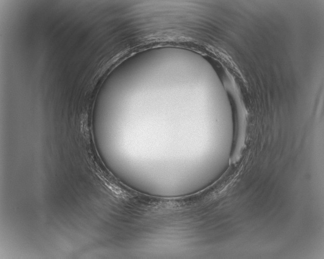 X0000072490881200608111559