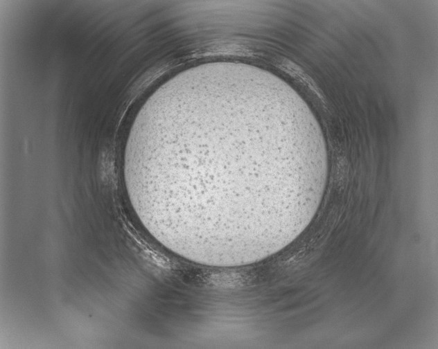 X0000072490882200608111559