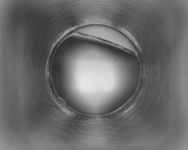 X0000072490885200608111559