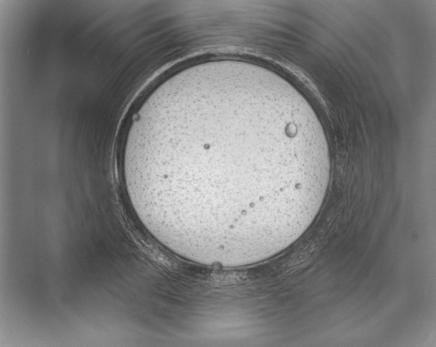 X0000072490887200608111559