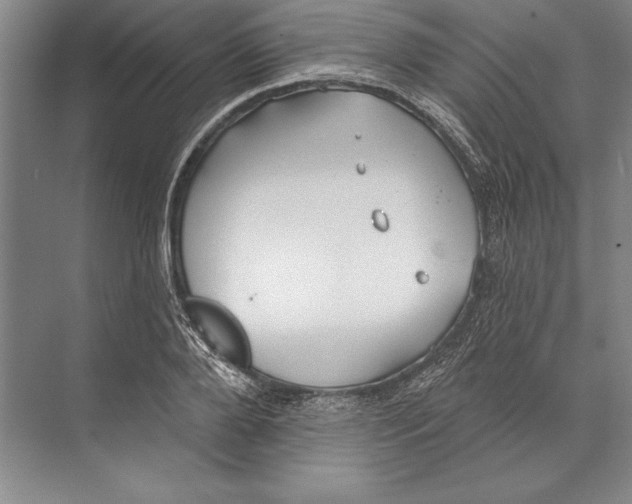 X0000072490888200608111559