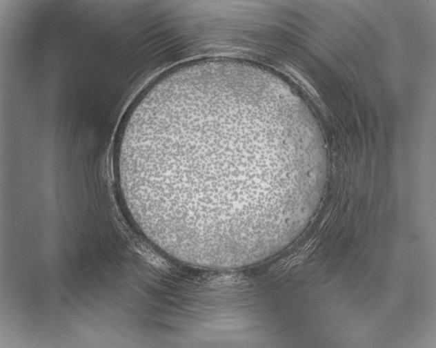 X0000072490891200608111559