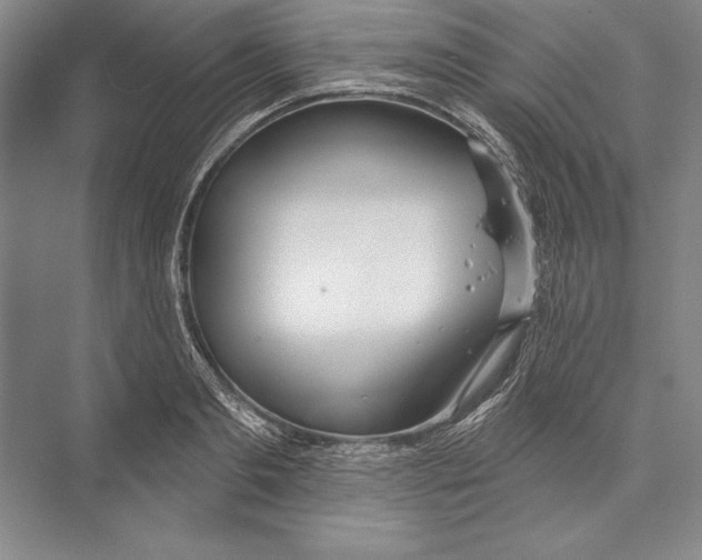 X0000072490893200608111559