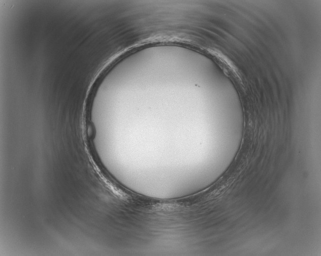 X0000072490894200608111559