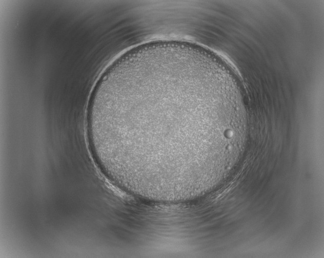 X0000072490895200608111559