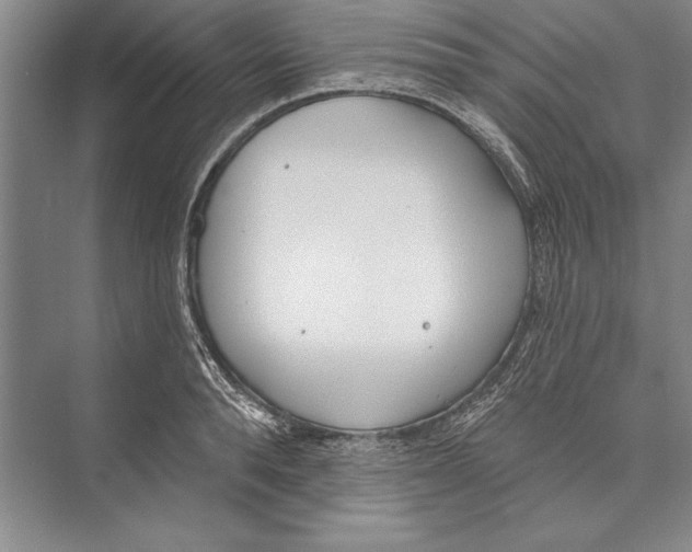 X0000072490896200608111559