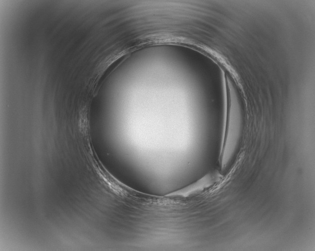 X0000072490897200608111559