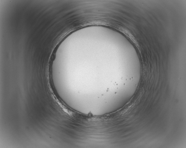 X0000072490898200608111559