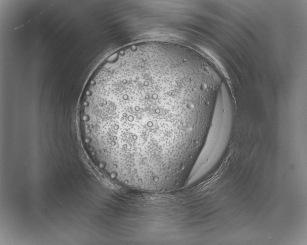 X0000072490899200608111559