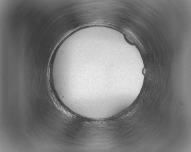 X0000072490900200608111559