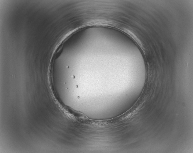 X0000072490901200608111559