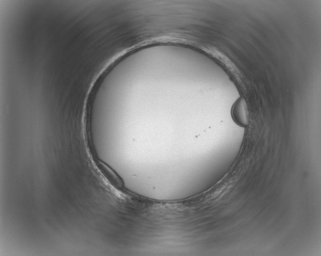 X0000072490902200608111559