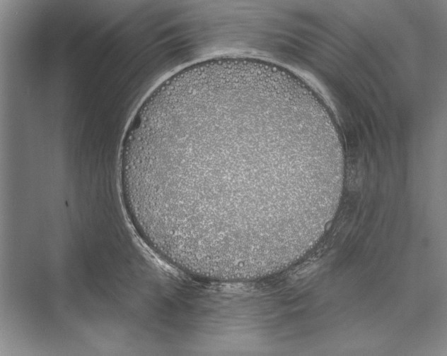 X0000072490903200608111559