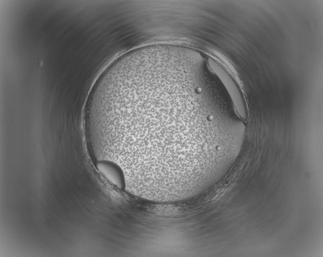 X0000072490907200608111559