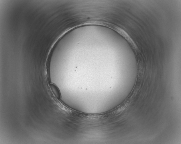 X0000072490908200608111559